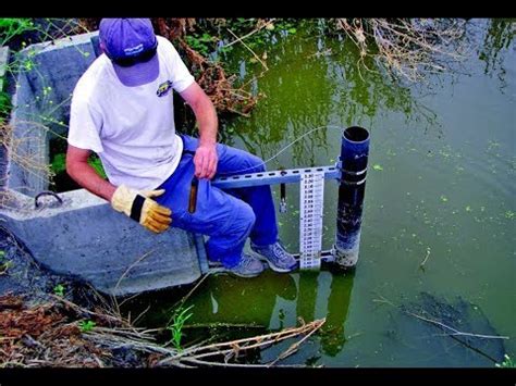 what are hobos in water quality testing